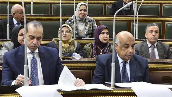 وزير الشئون النيابية