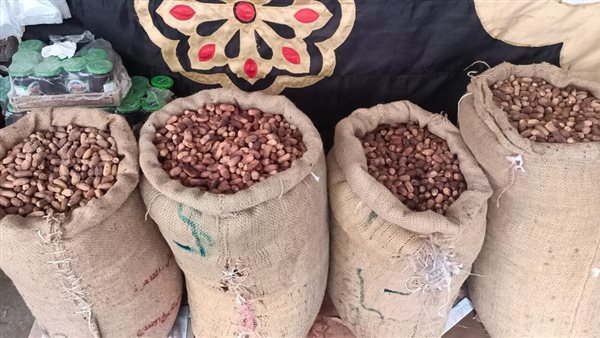 محافظ كفر الشيخ يفتتح