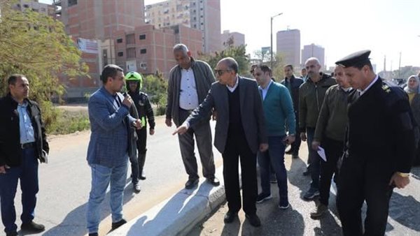 محافظ المنيا