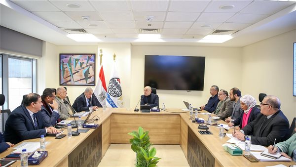  وزير قطاع الأعمال