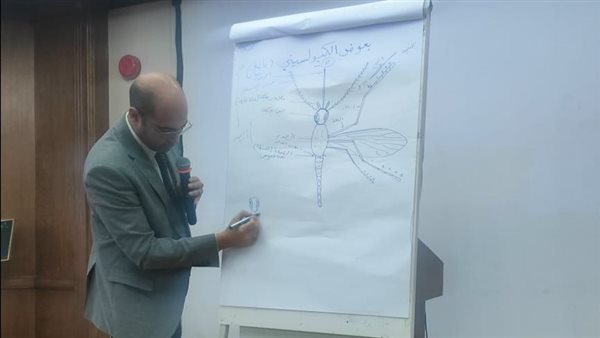 جانب من الفاعليات