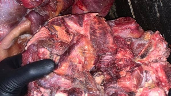 حملة تفتيشية بالمنوفية