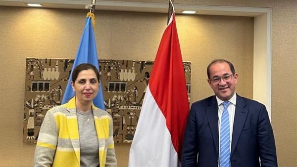 وزير المالية