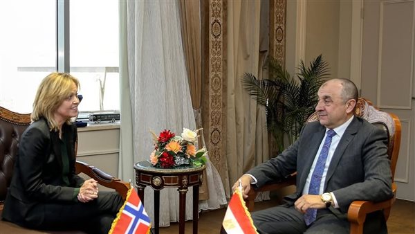  وزير قطاع الأعمال