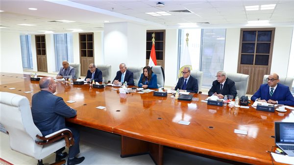  وزيرة التنمية المحلية