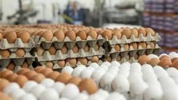 سعر كرتونة البيض