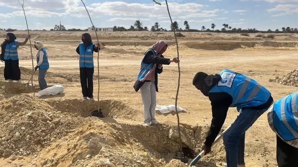 مبادرة الطريق الاخضر