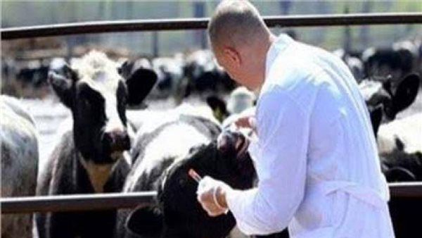 تحصين الثروة الحيوانية