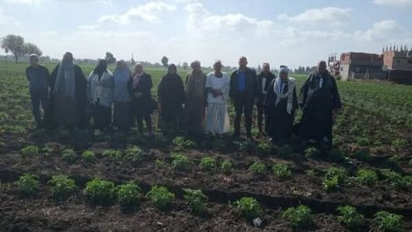 جانب من الفاعليات