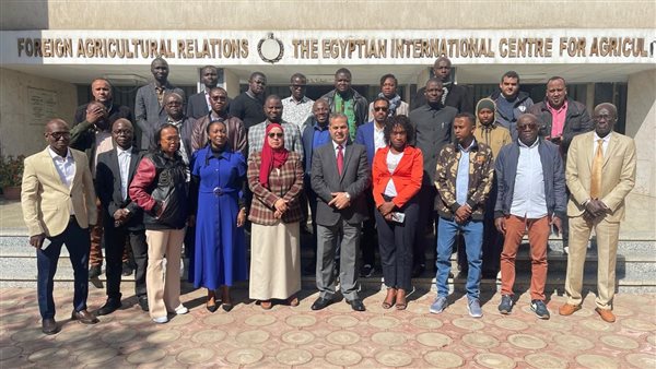 جانب من الفاعليات