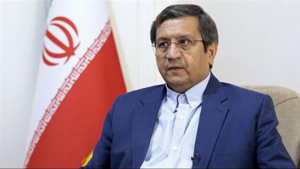 وزير المالية الإيراني