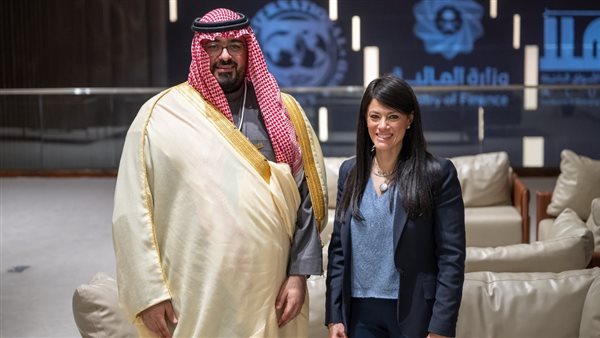 جانب من لقاء وزيرة