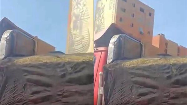 سيارة البطاطس المحمرة