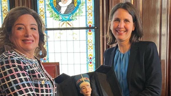 القنصل العام المصري