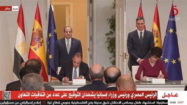 جانب من الفاعليات