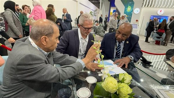 المهندس أشرف بهاء