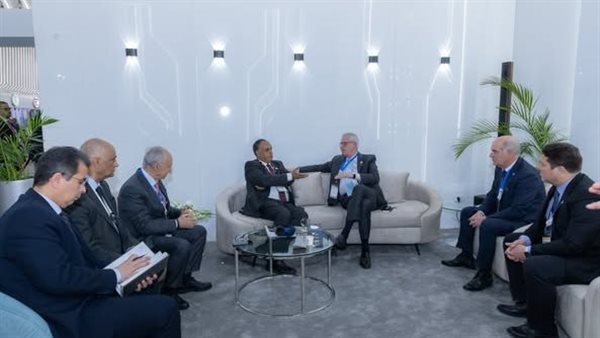 الرئيس التنفيذى لهيئة