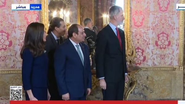 الرئيس السيسي