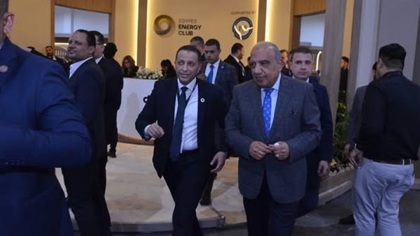 وزير الكهرباء 