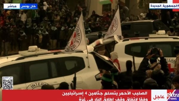 جانب من الفاعليات