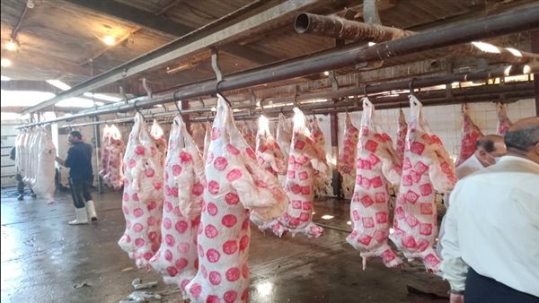  المجازر الحكومية