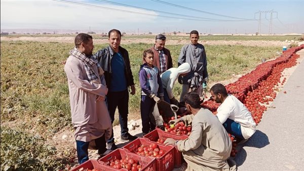 جانب من الفاعليات