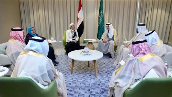 لقاء وزيرة البيئة