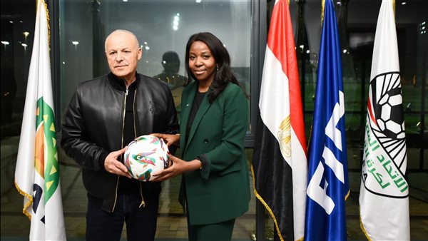 هاني أبو ريدة