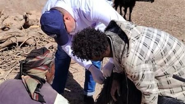 البحر الأحمر 