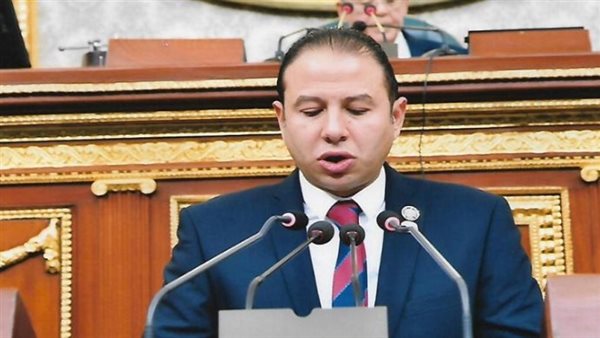 النائب حسن عمار 