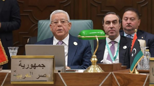 المستشار الدكتور