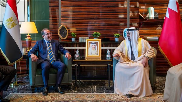 وزير المالية أحمد