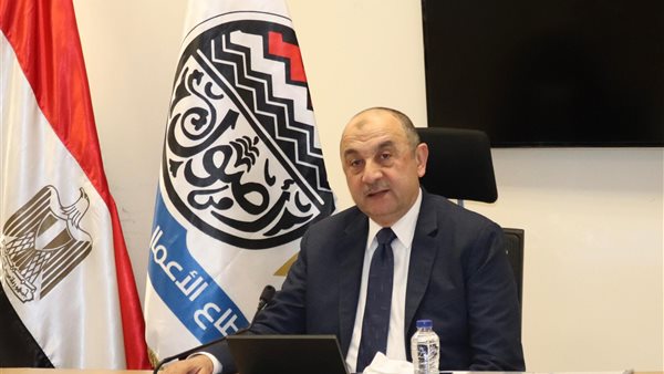 وزير قطاع الأعمال