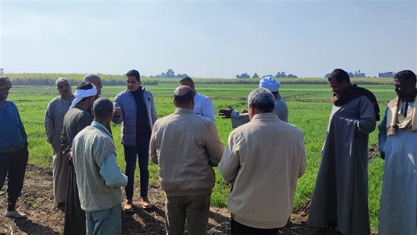 الخدمات الإرشادية