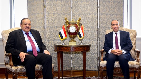 وزير الخارجية المصري