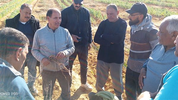 جولات ميدانية لمركز