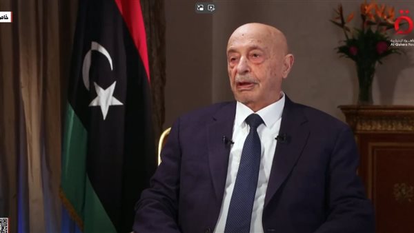 المستشار عقيلة صالح