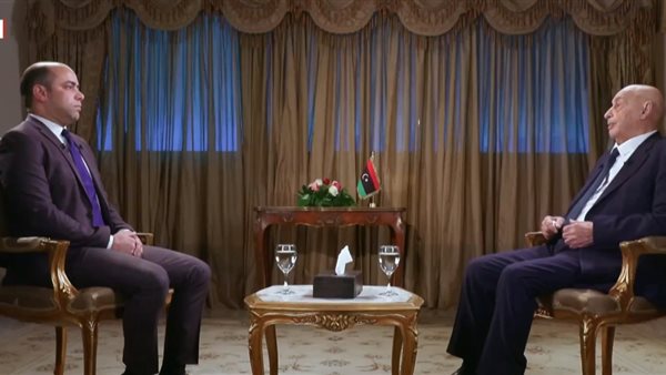 المستشار عقيلة صالح