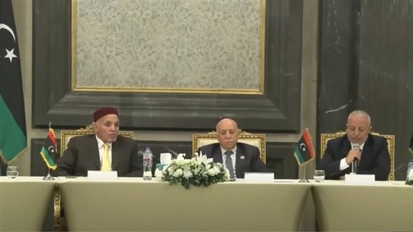 لقاء مجلسا النواب