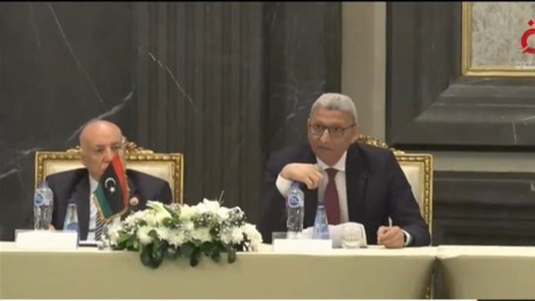 المستشار أحمد سعد