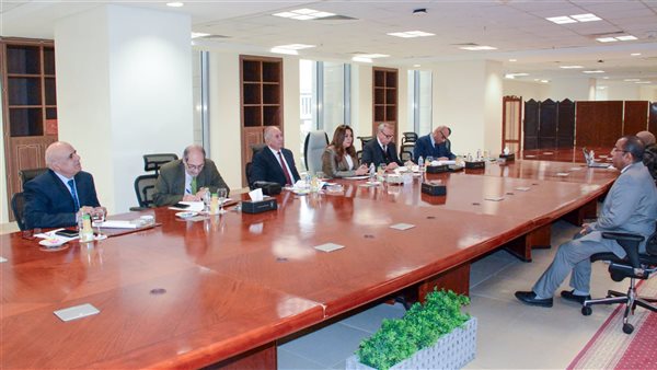 وزيرة التنمية المحلية