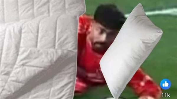 الفيديو المسئ