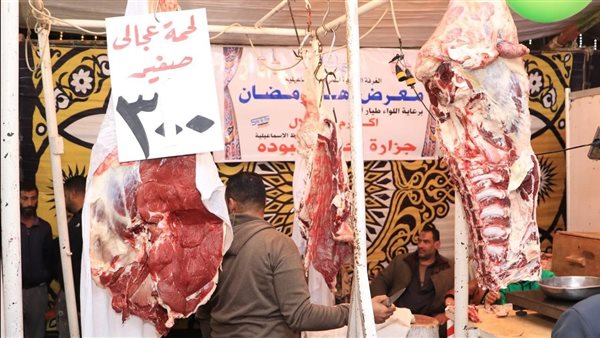 جانب من الفاعليات