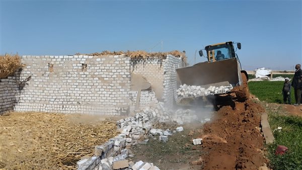 جانب من الفاعليات