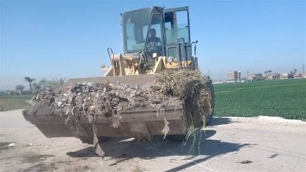 جانب من الفاعليات