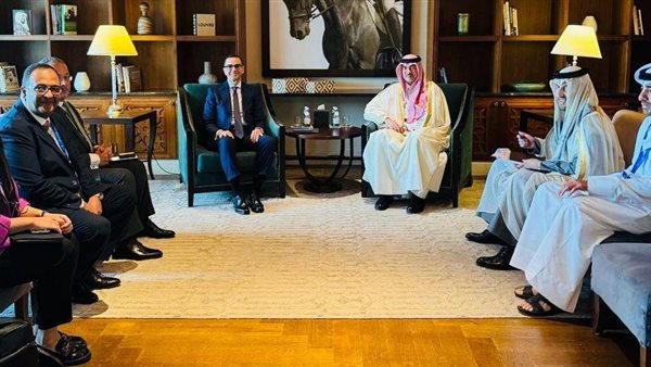  وزير الدولة القطري