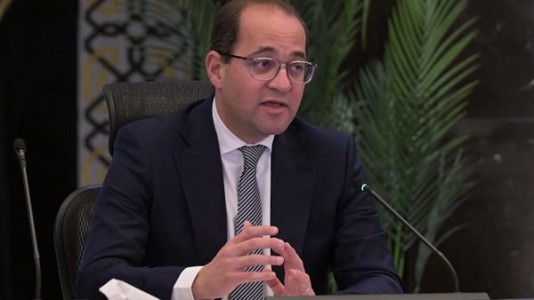 وزير المالية