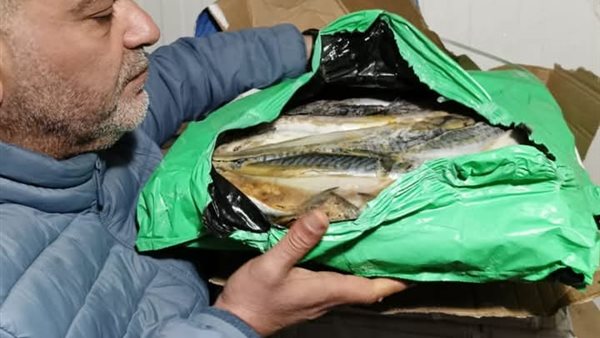 حملة تفتيشية على