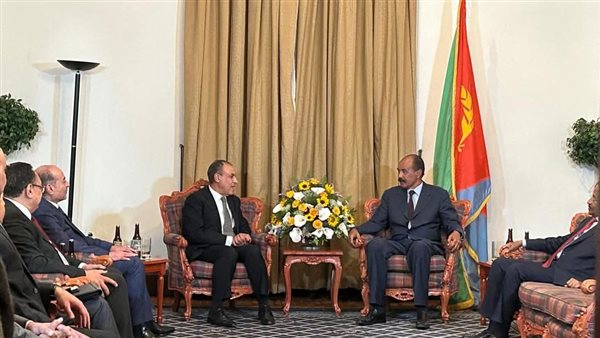 لقاء وزير الخارجية