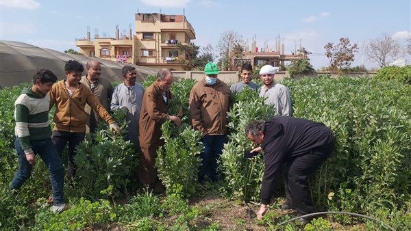 مركز البحوث الزراعية
